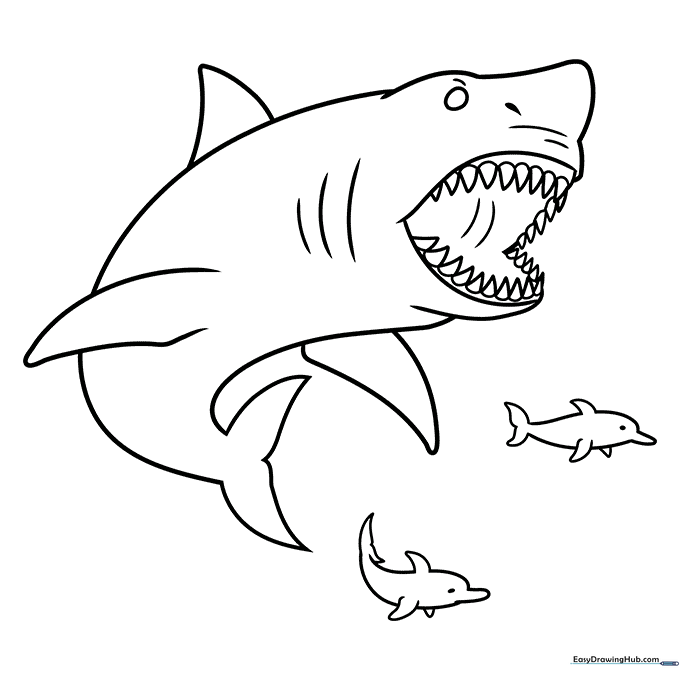 Megalodon Shark Coloring Sheet
