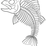 Black and white line art of a fish skeleton featuring a clear skull, long spine, and symmetrical rib bones, ready for coloring.