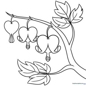Detailed line art of a bleeding heart flower with heart-shaped petals hanging from a stem for kids to color.