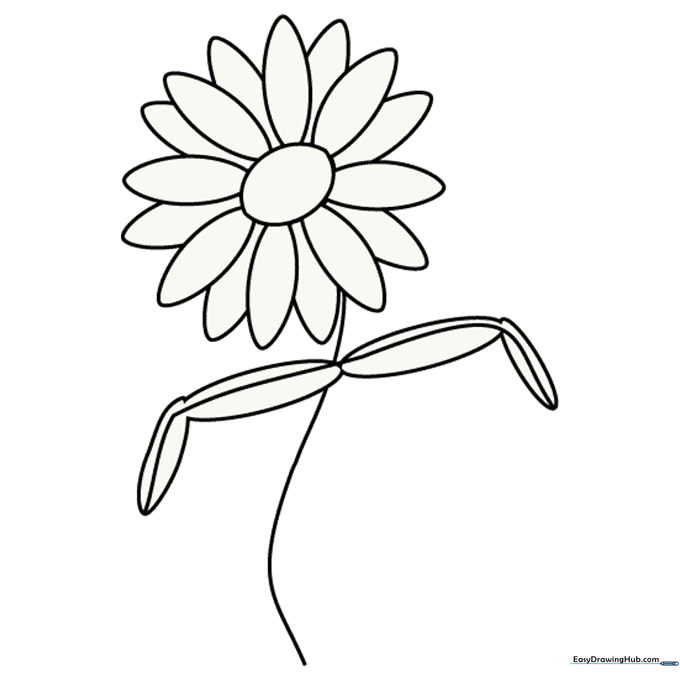 Daisy Flower