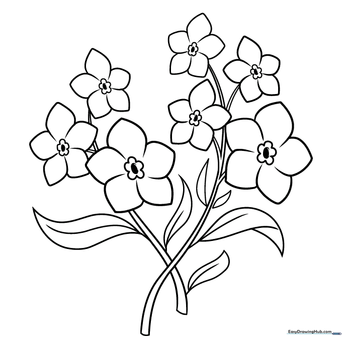 Forget-Me-Not Flowers