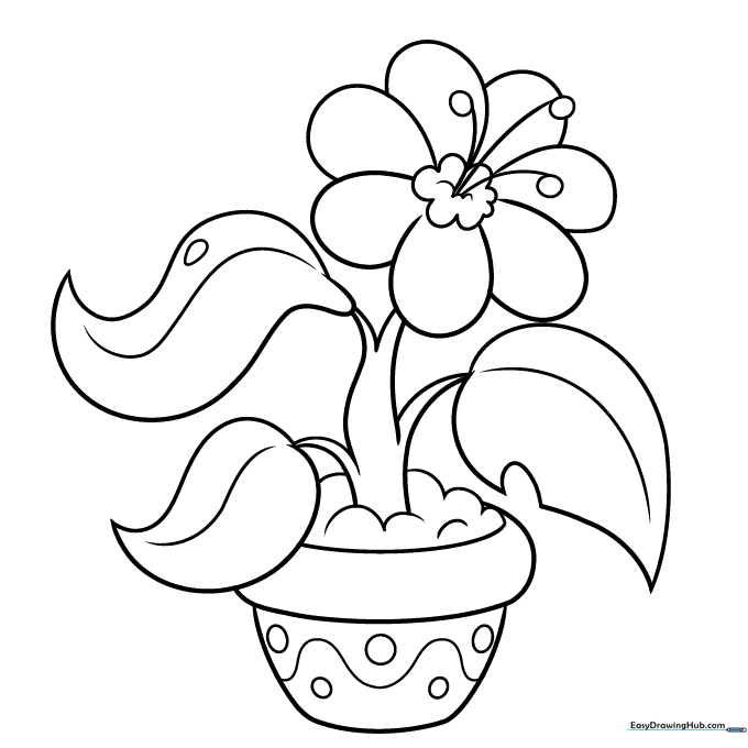 Potted Plant