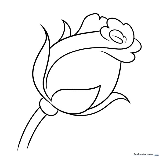 Rose Bud