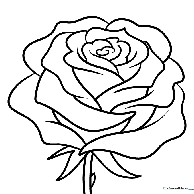 Realistic Rose