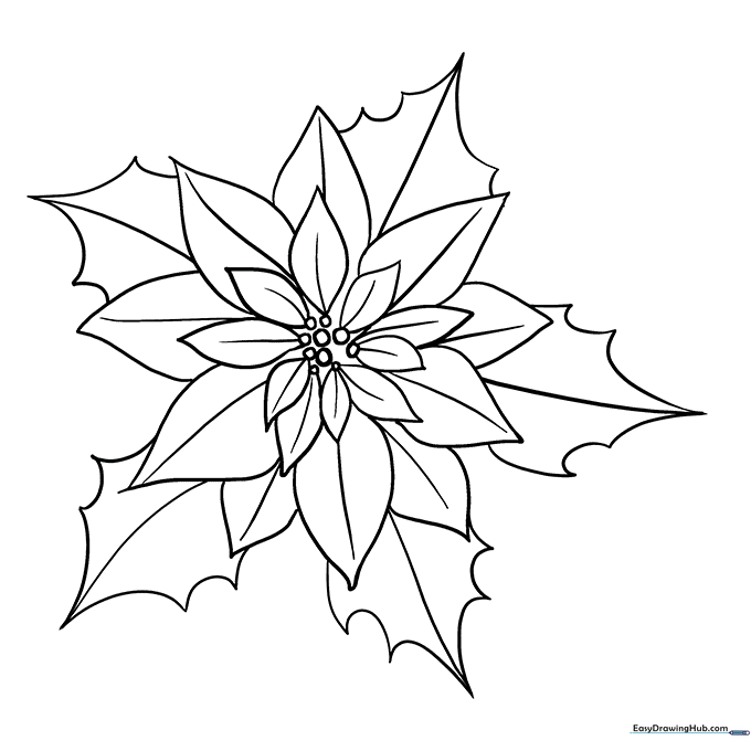 Poinsettia Coloring Sheet