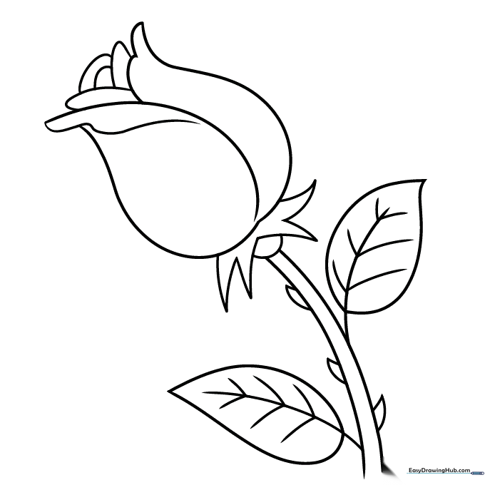 Easy, Step-by-step Rose Drawing for Kids