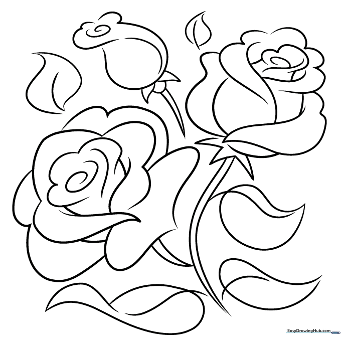 Rose Bouquet Outline