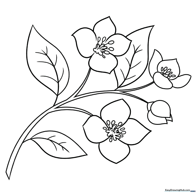 Fragrant Jasmine