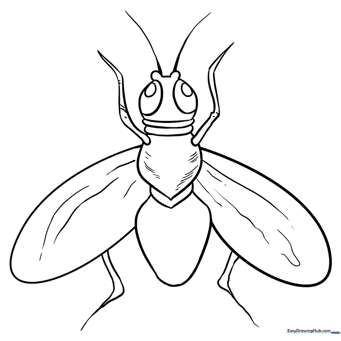 Black and white line art of a friendly housefly with large wings and compound eyes, designed for children to color.