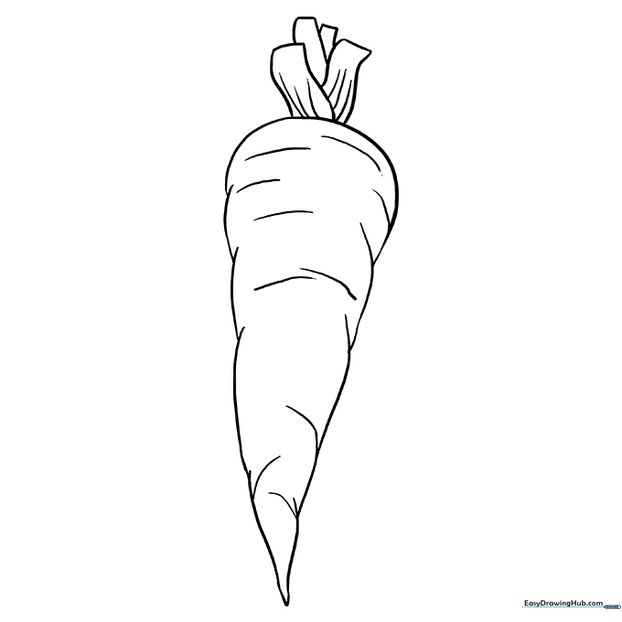 Fresh Carrot