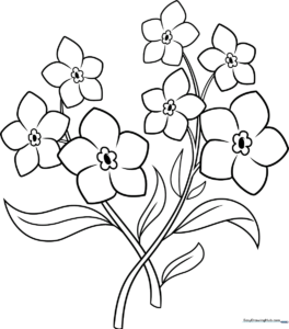 Line art illustration of a cluster of Forget-Me-Not flowers with rounded petals and slender stems, ready for coloring.