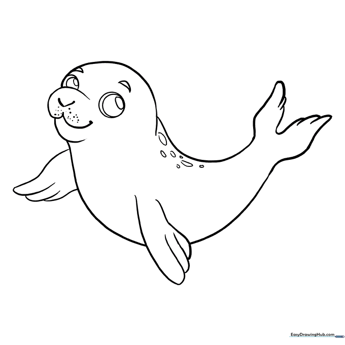 Baby Seal Pup