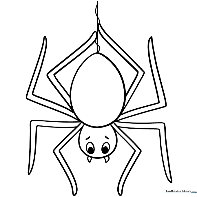 Cartoon Spider