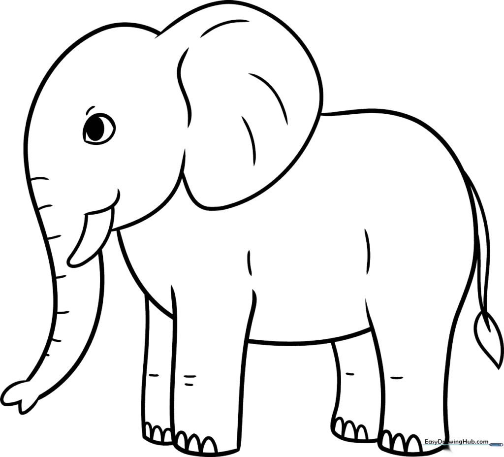 Minimalist Elephant Outline