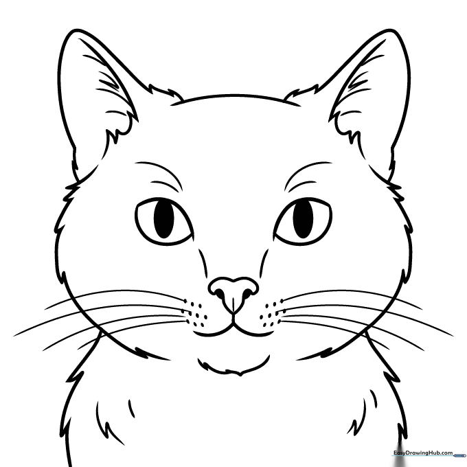 Easy Realistic Cat Face Coloring Sheet