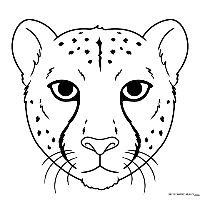 Cheetah Face