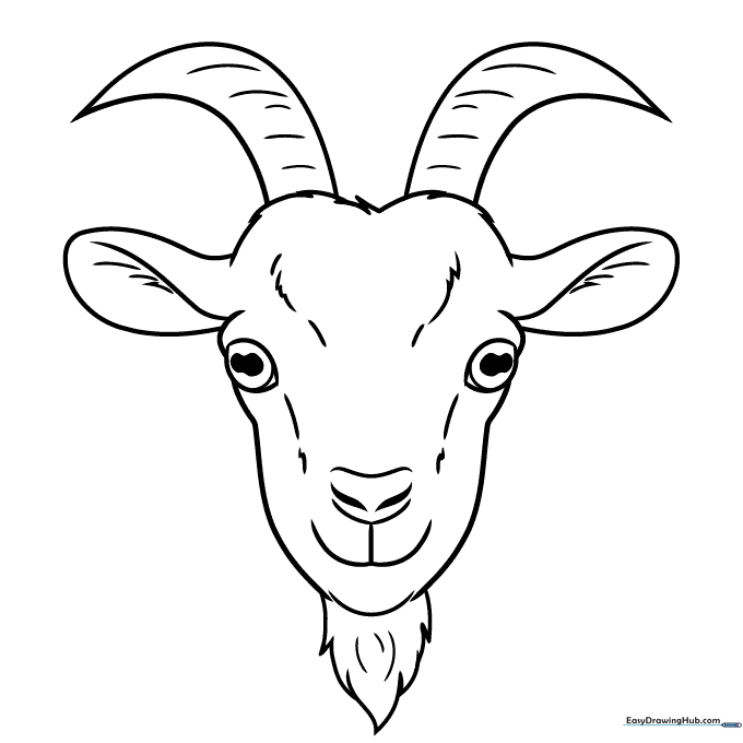 Friendly Goat Face