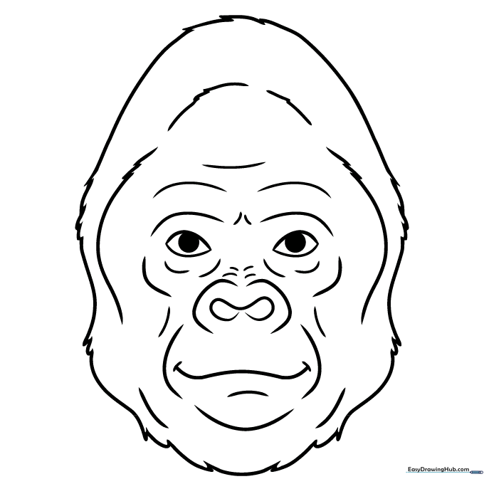 Gorilla Face
