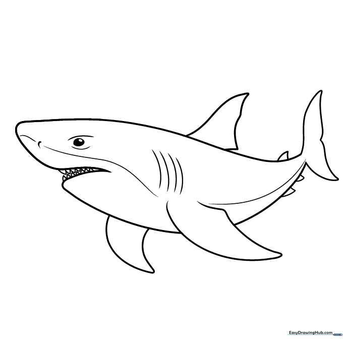 Shark Outline Coloring Sheet