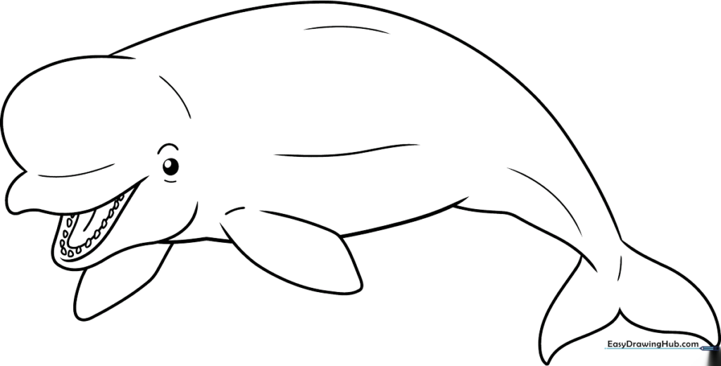 Beluga Whale