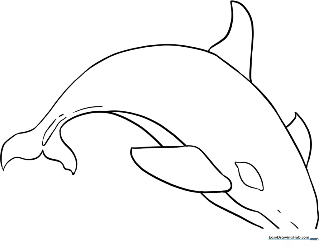 Orca