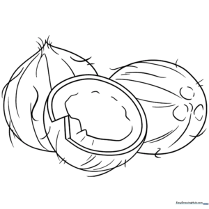Simple line art of a whole coconut with a textured husk for kids to color