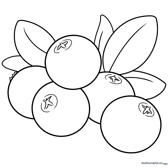 Cranberry