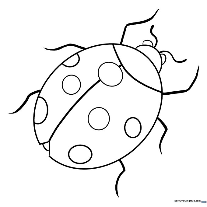 Ladybug Coloring Sheet