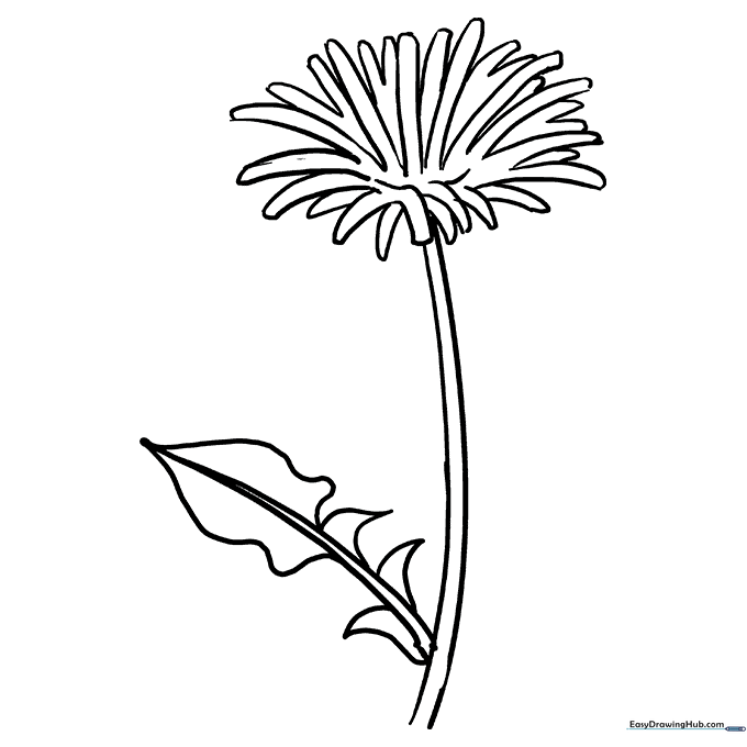 Dandelion Coloring Sheet