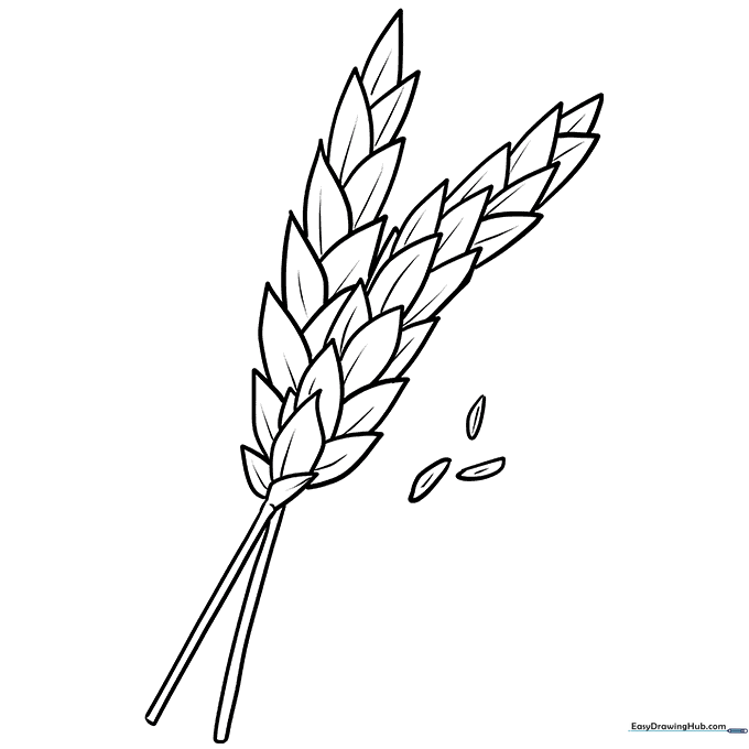 Golden Wheat