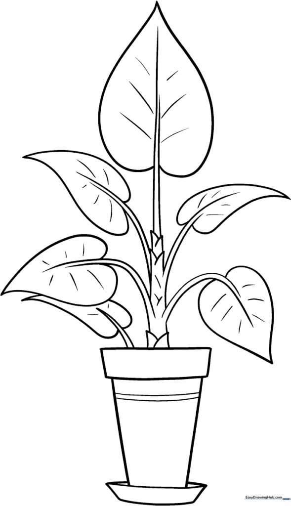 Potted Plant Coloring Sheet