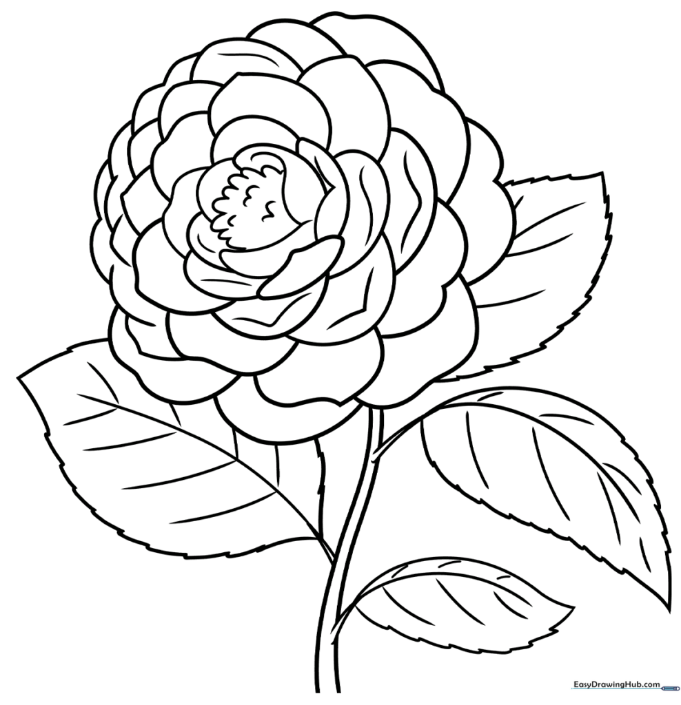 Camellia Coloring Sheet