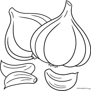 A simple line-art illustration of a garlic bulb with a stem, designed for children to color with crayons or markers.