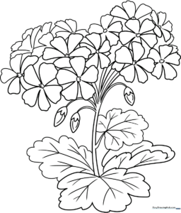 Black and white line art of a potted geranium flower with large, rounded petals and detailed leaves, ready for coloring.