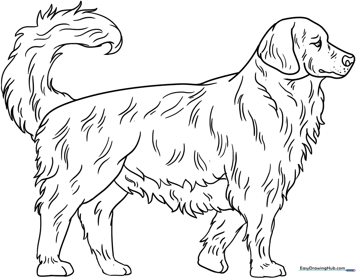 A friendly cartoon Golden Retriever with a happy expression, featuring bold outlines for easy coloring by children.