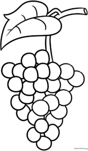 Black and white line art of a cluster of grapes with a leaf, designed for children to color with crayons or markers.