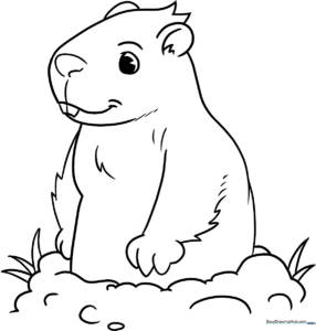 A friendly cartoon groundhog with bold outlines, perfect for children to color with crayons or markers.