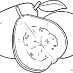 Black and white line art of a whole guava with a single leaf, designed for children to color.