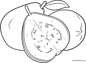 Black and white line art of a whole guava with a single leaf, designed for children to color.