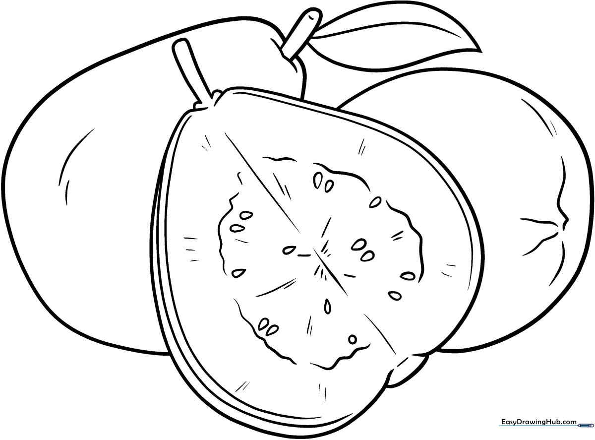 Black and white line art of a whole guava with a single leaf, designed for children to color.