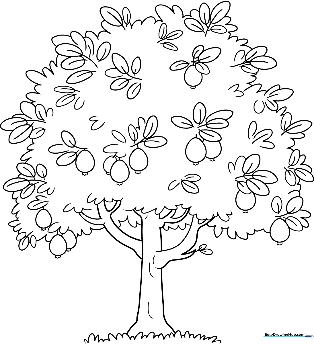 A friendly cartoon guava tree with rounded leaves and hanging fruit, featuring thick, clean outlines perfect for young children to color.