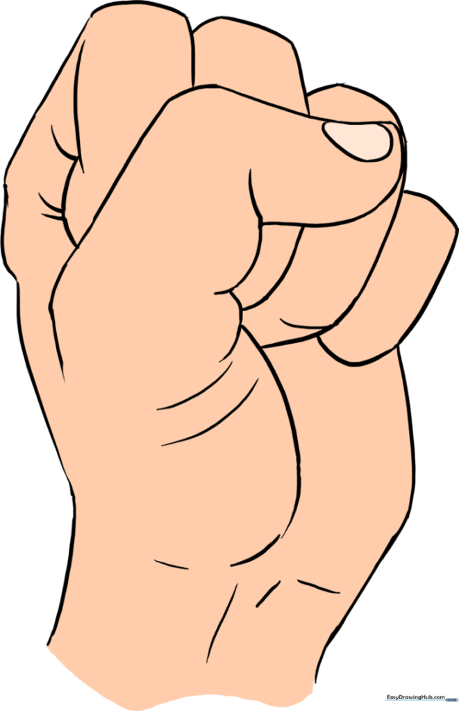 Fist