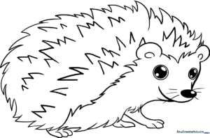A clean, black-and-white line art illustration of a cute hedgehog with a rounded body and detailed quills, ready for children to color.