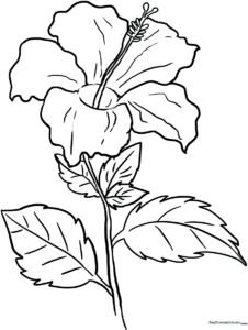 Black and white line art of a hibiscus flower with five large petals and a prominent stamen, ready for coloring.