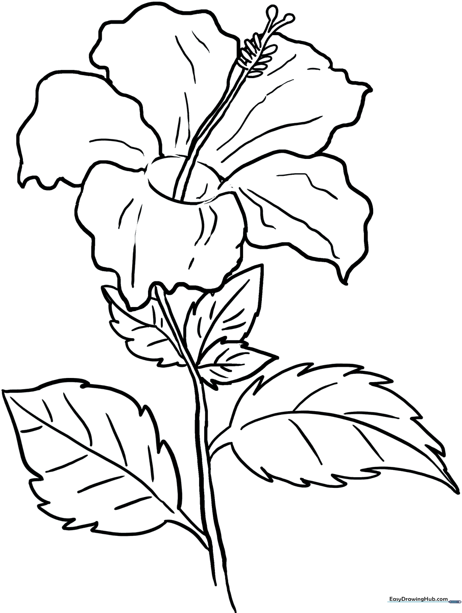 Black and white line art of a hibiscus flower with five large petals and a prominent stamen, ready for coloring.
