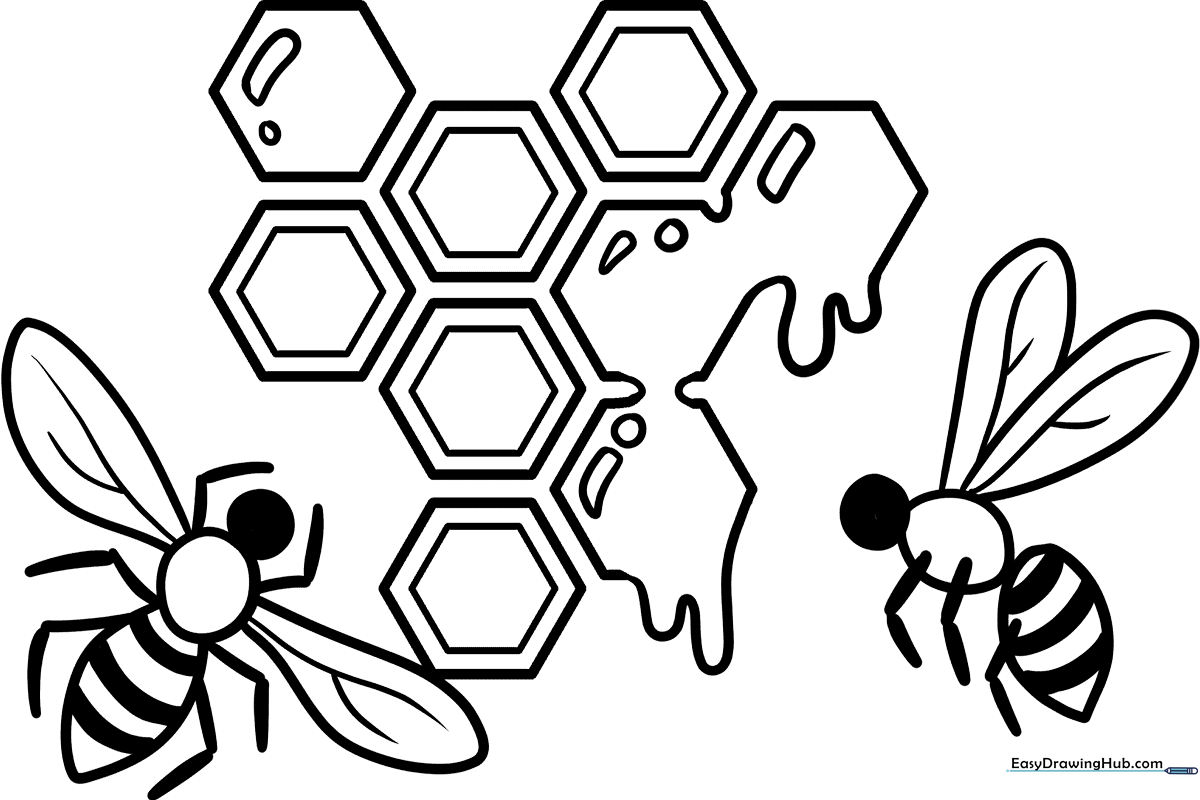 Black and white line art of a honeycomb structure with hexagonal cells, designed for children to color.