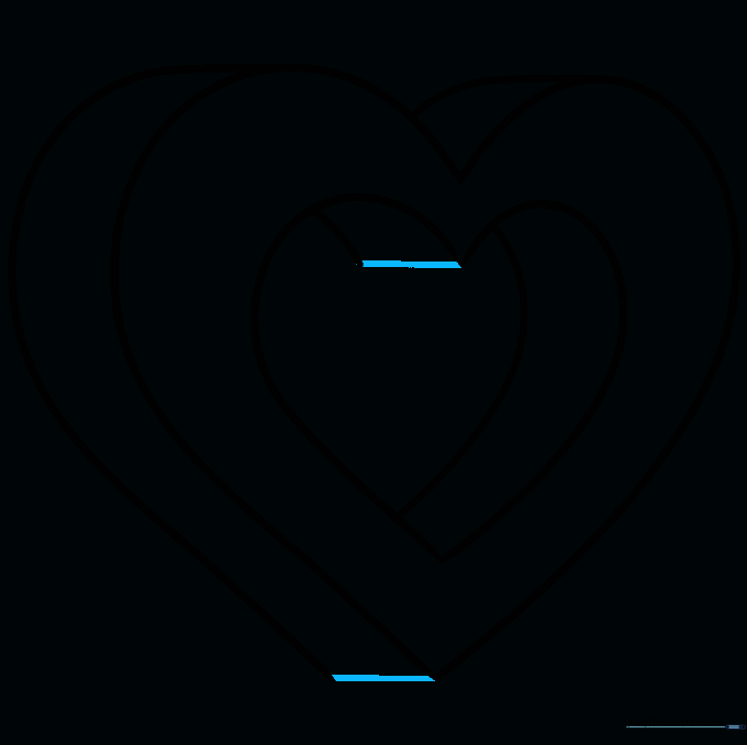 The completed 3D heart outline with all structural lines connected.