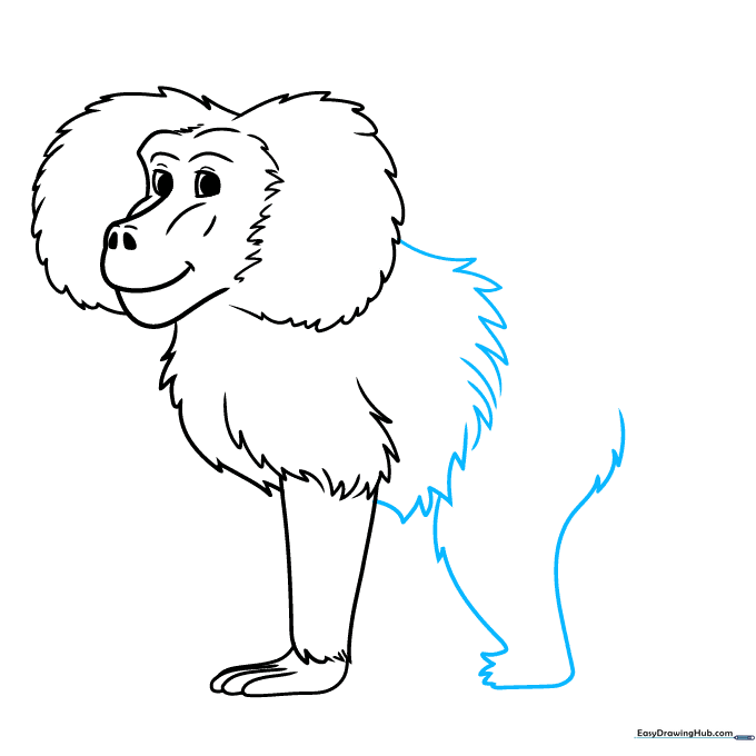 Drawing the baboon's torso and the start of the rear leg.