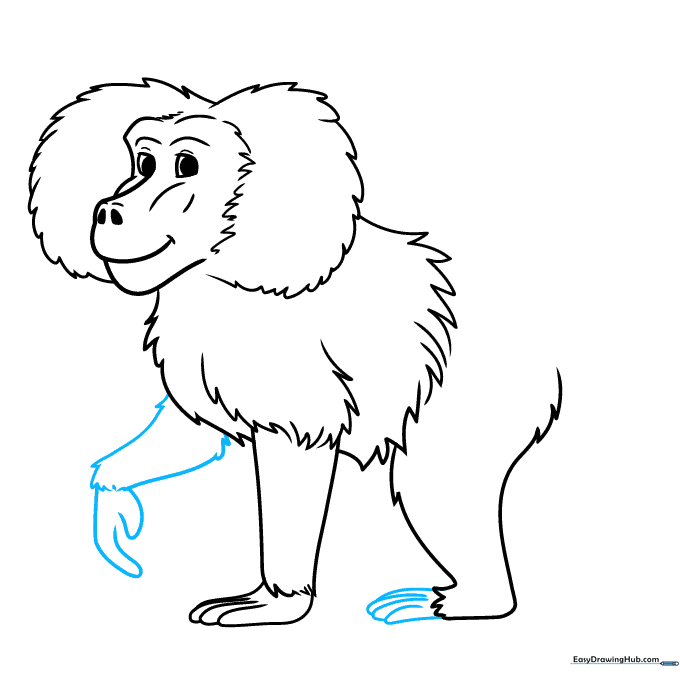 Adding the second foreleg and paw to the baboon sketch.