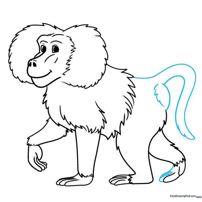 Adding the long tail with a tufted end to the baboon drawing.